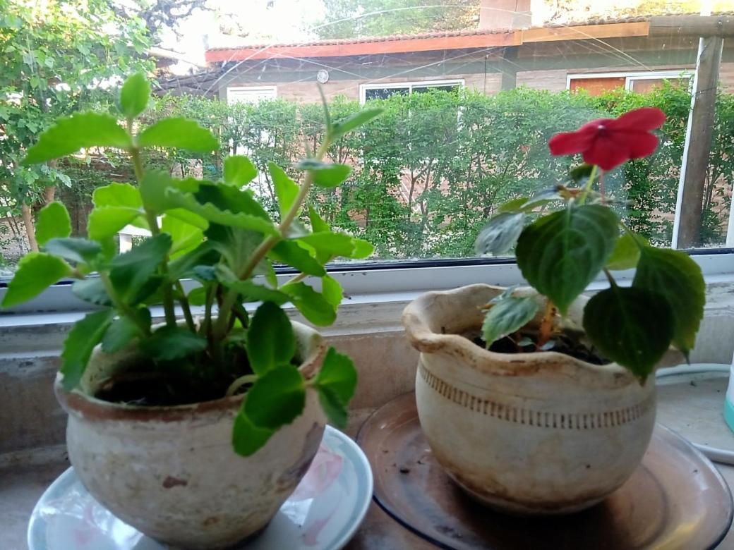 Apartamento Monoambientes Sauces Mina Clavero